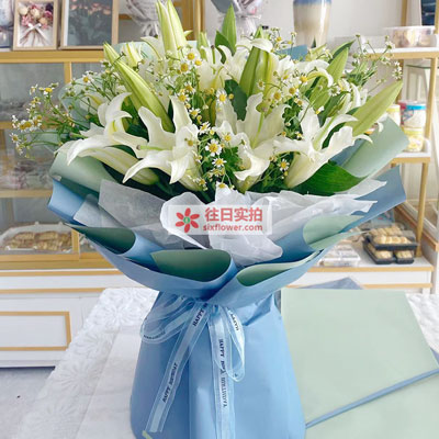 张家界8支白色多头百合洋甘菊，互倾的思念