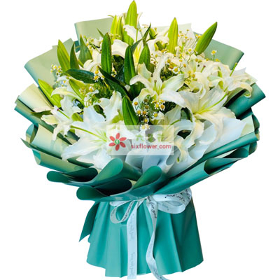 张家界8支白色多头百合洋甘菊，如潮的思念